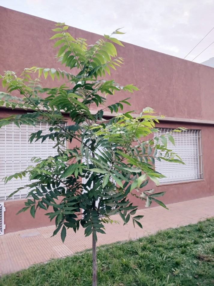 CASA 3 AMBIENTES EN VENTA