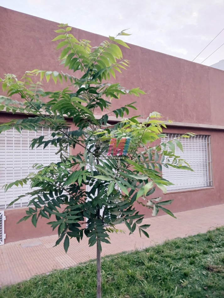 CASA 3 AMBIENTES EN VENTA